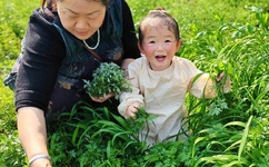 少年歌行高清免费观看